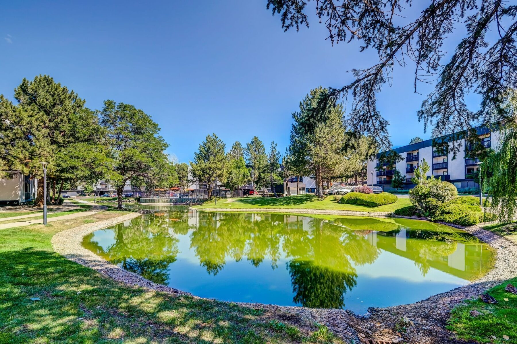 large pond with shady trees